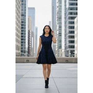 RVN Zebra Texture cap-Sleeve Jacquard Flare Dress Size Small -NWT Retail: $398